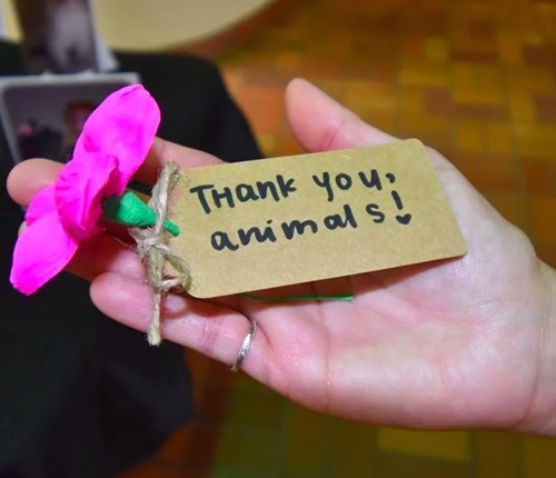 A hand holding a sign saying thank you animals