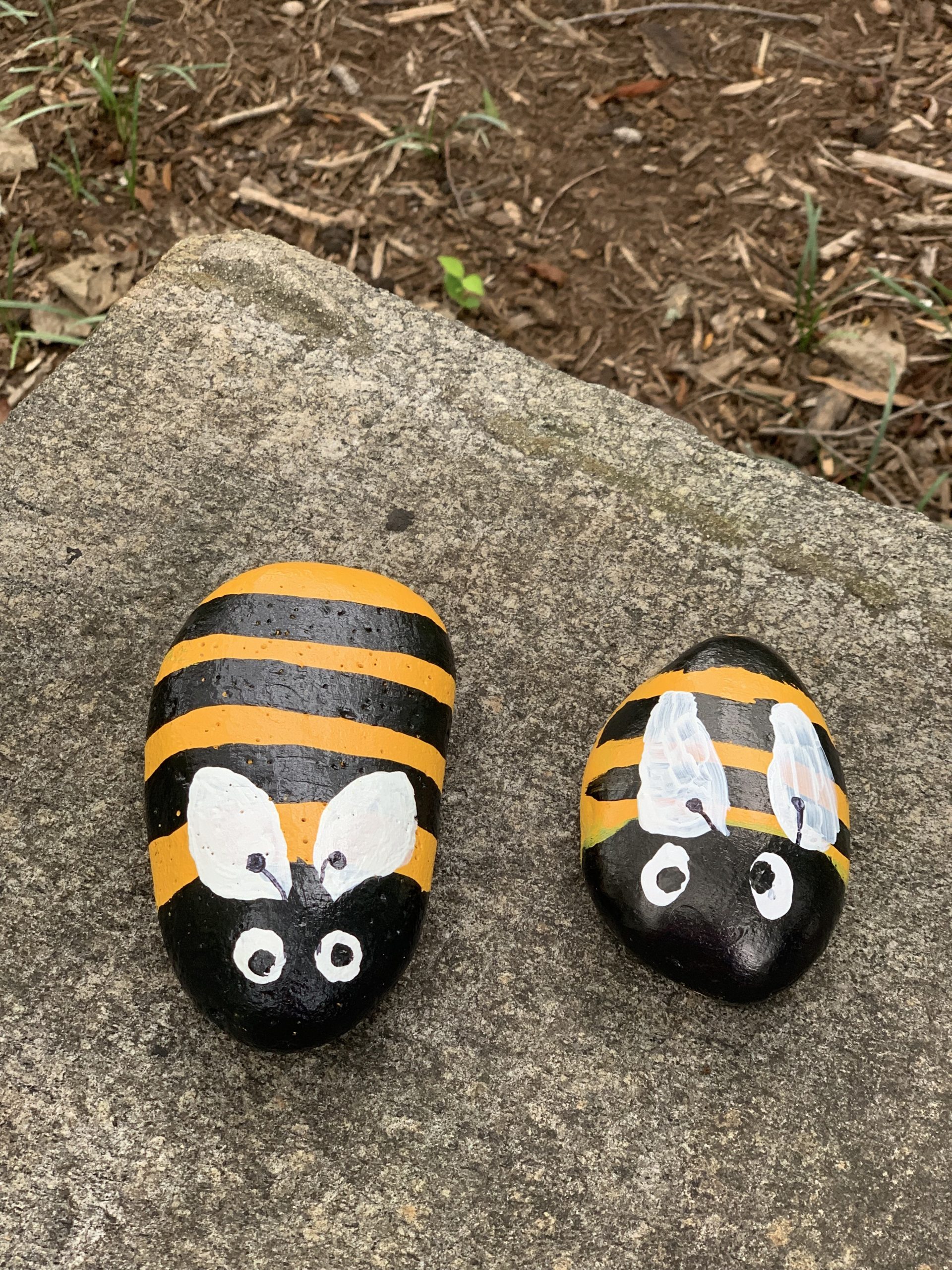 Two rocks painted like bees