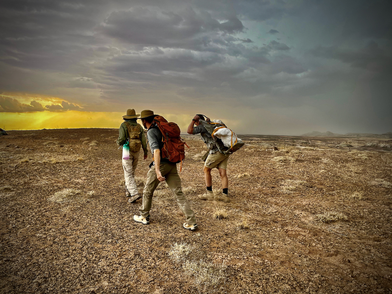 Students carry fossils from the Crystal Geyser Quarry (Utah).