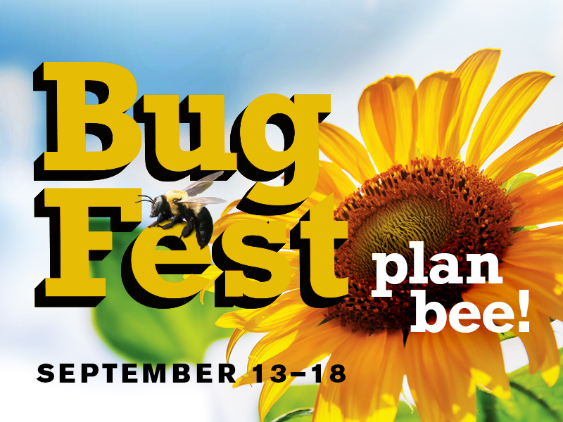 BugFest 2021: Plan Bee! September 13-18