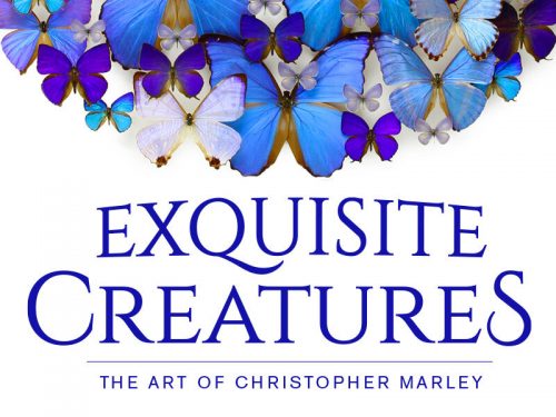 ‘Exquisite Creatures’ exhibition opens at NC Museum of Natural Sciences Oct. 16
