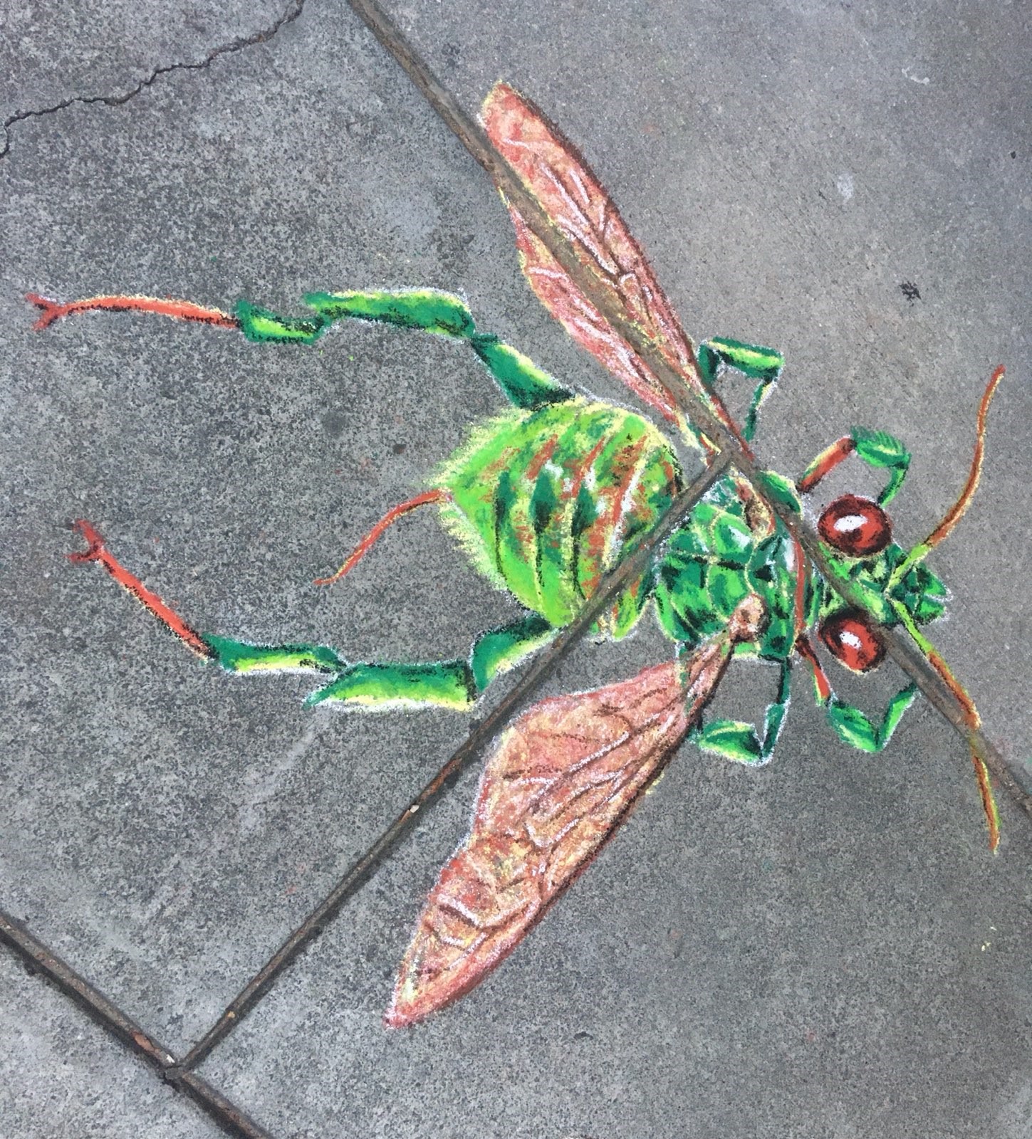 a green orchid bee in chalk