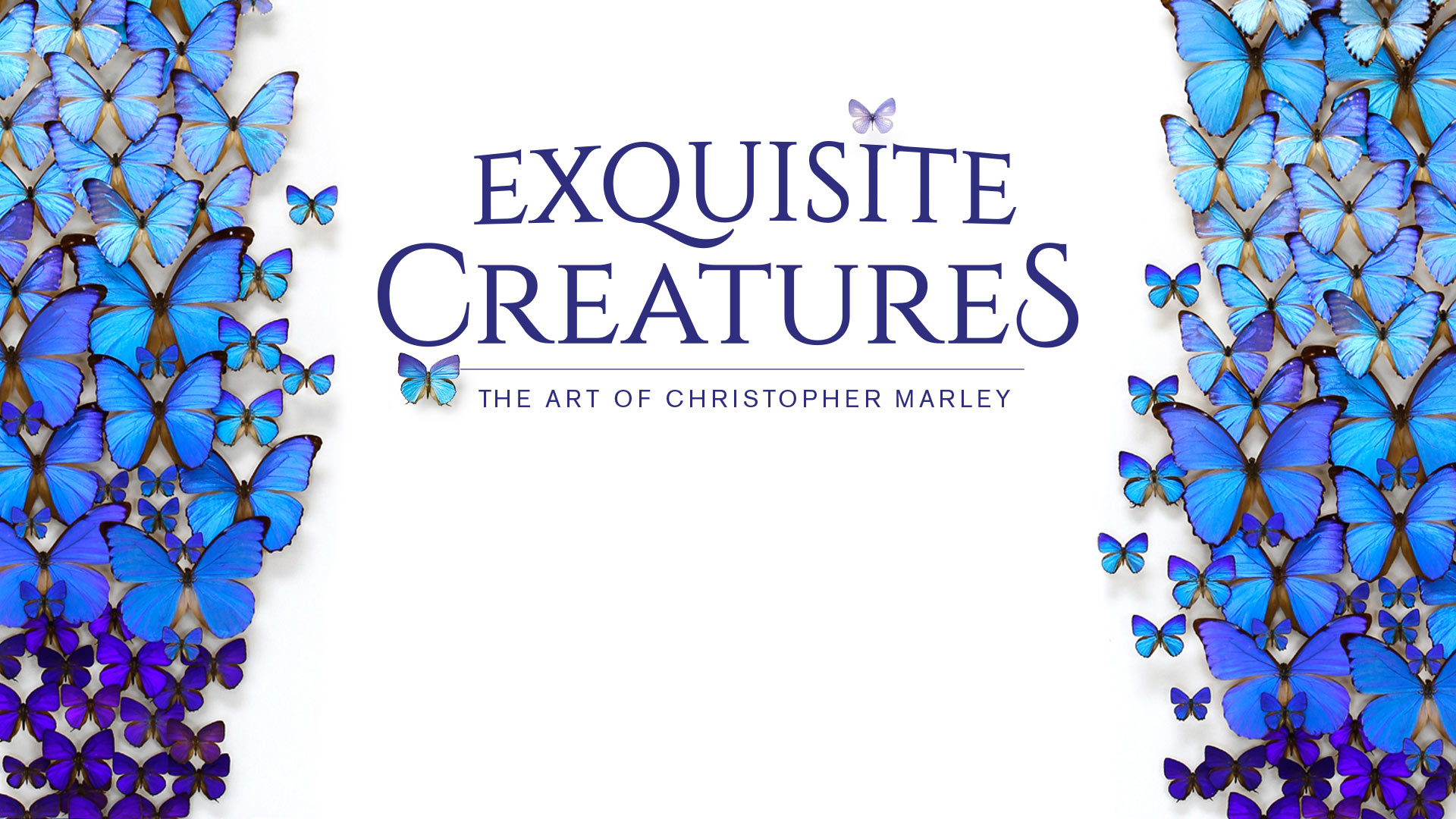 Exquisite Creatures: The Art of Christopher Marley