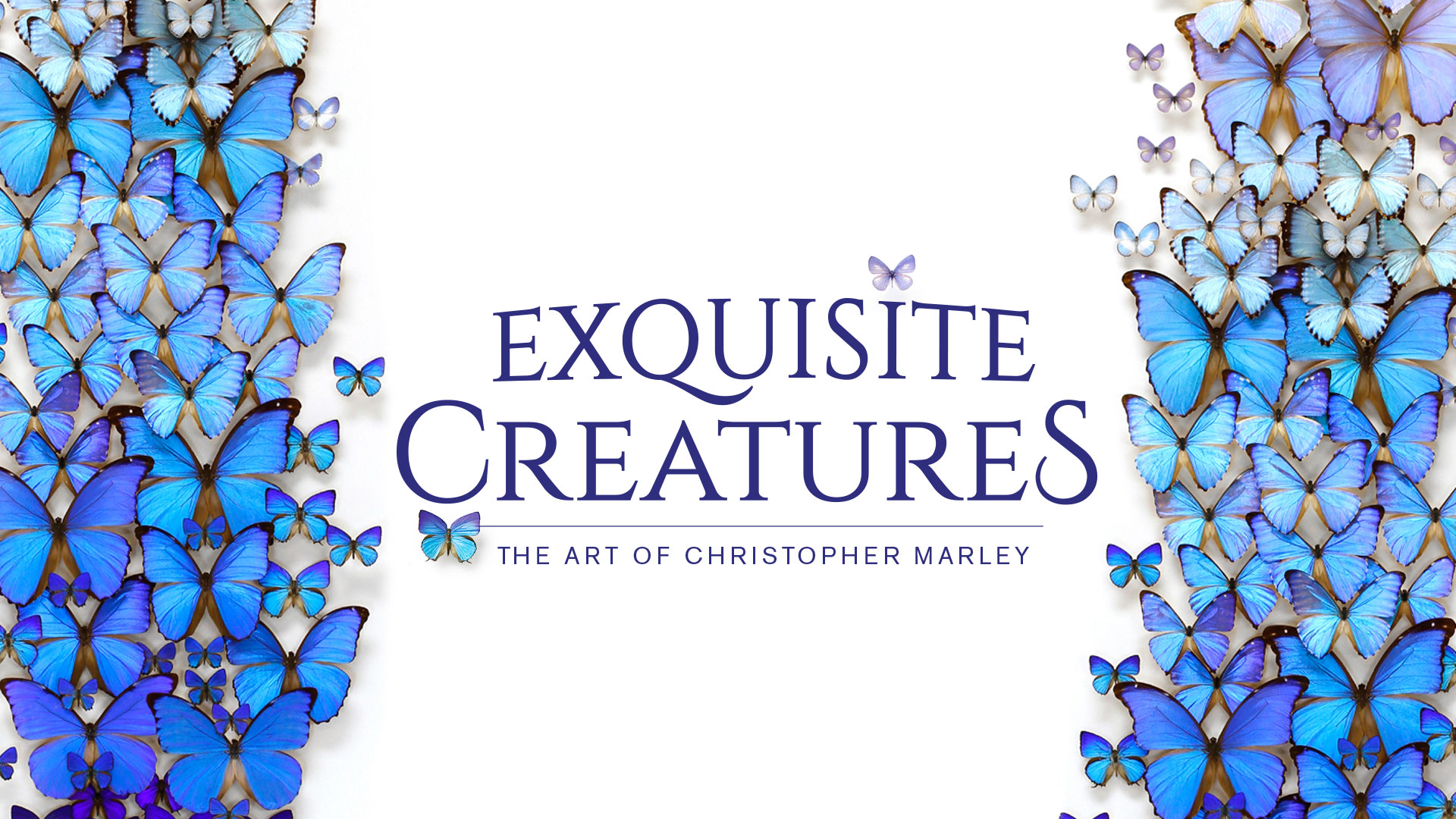 Exquisite Creatures: The Art of Christopher Marley