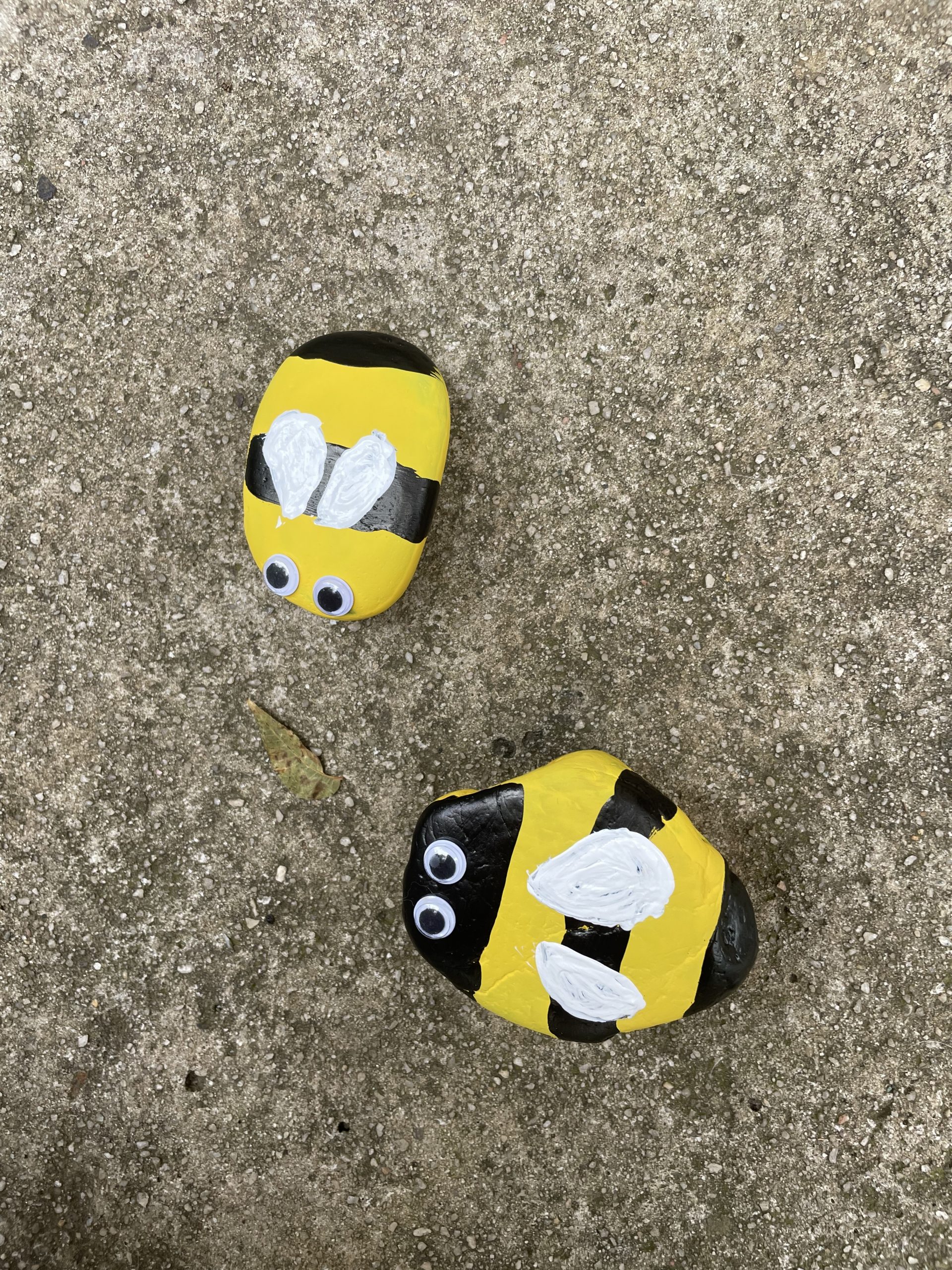 Two bees painted like rocks