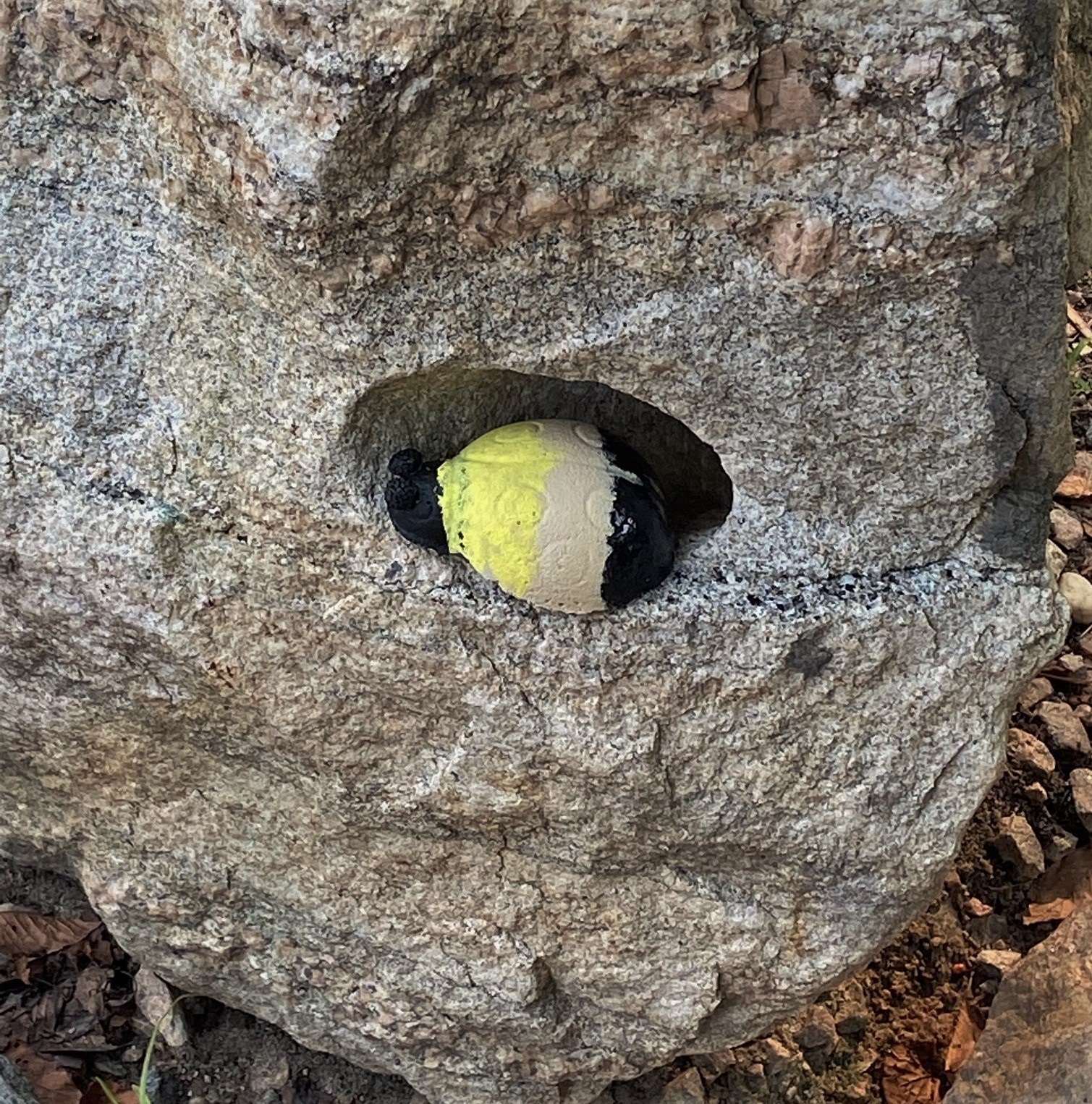 a rock painted like a carpenter bee