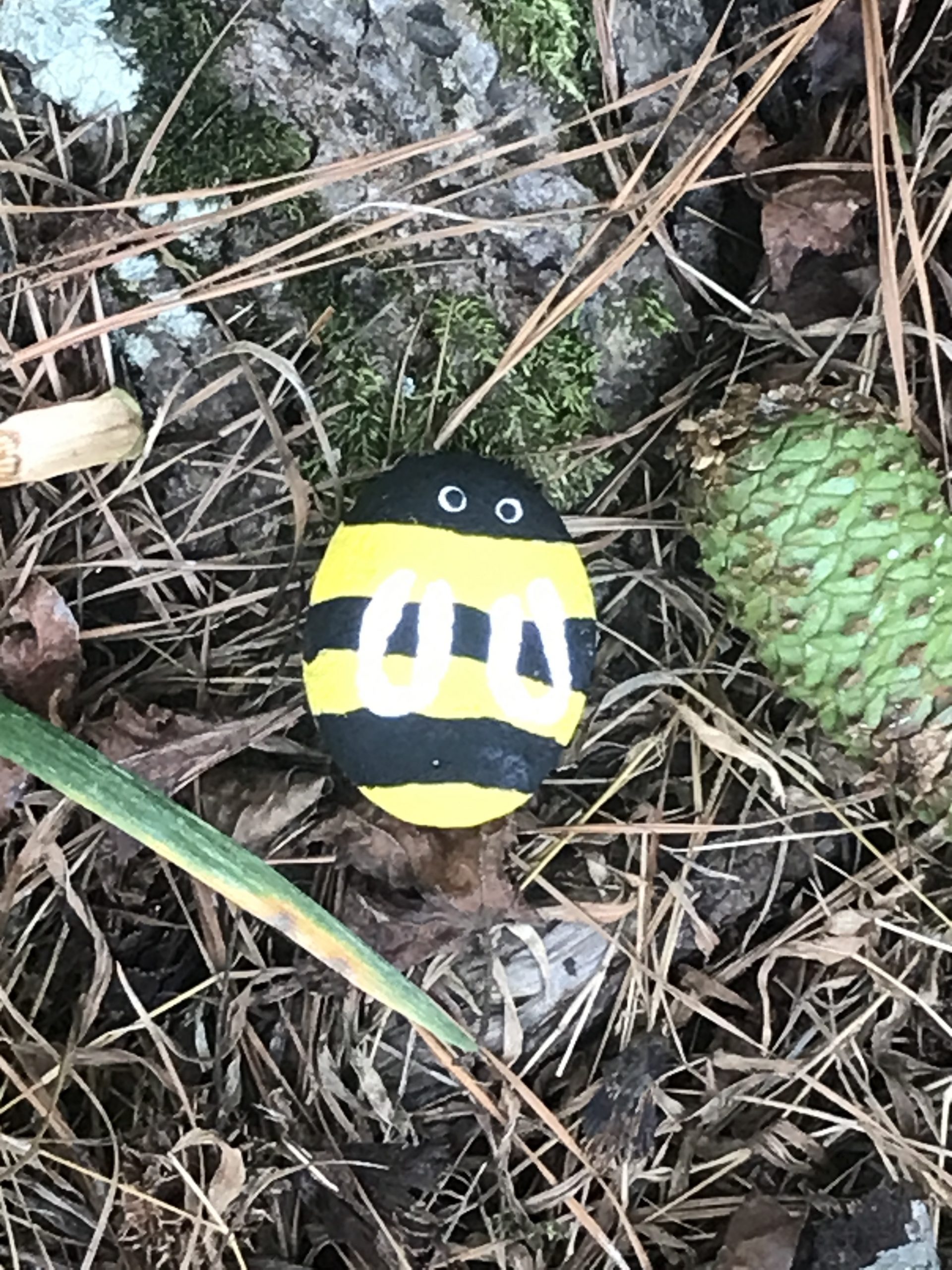 A bee painted like a rock next to a pinecone