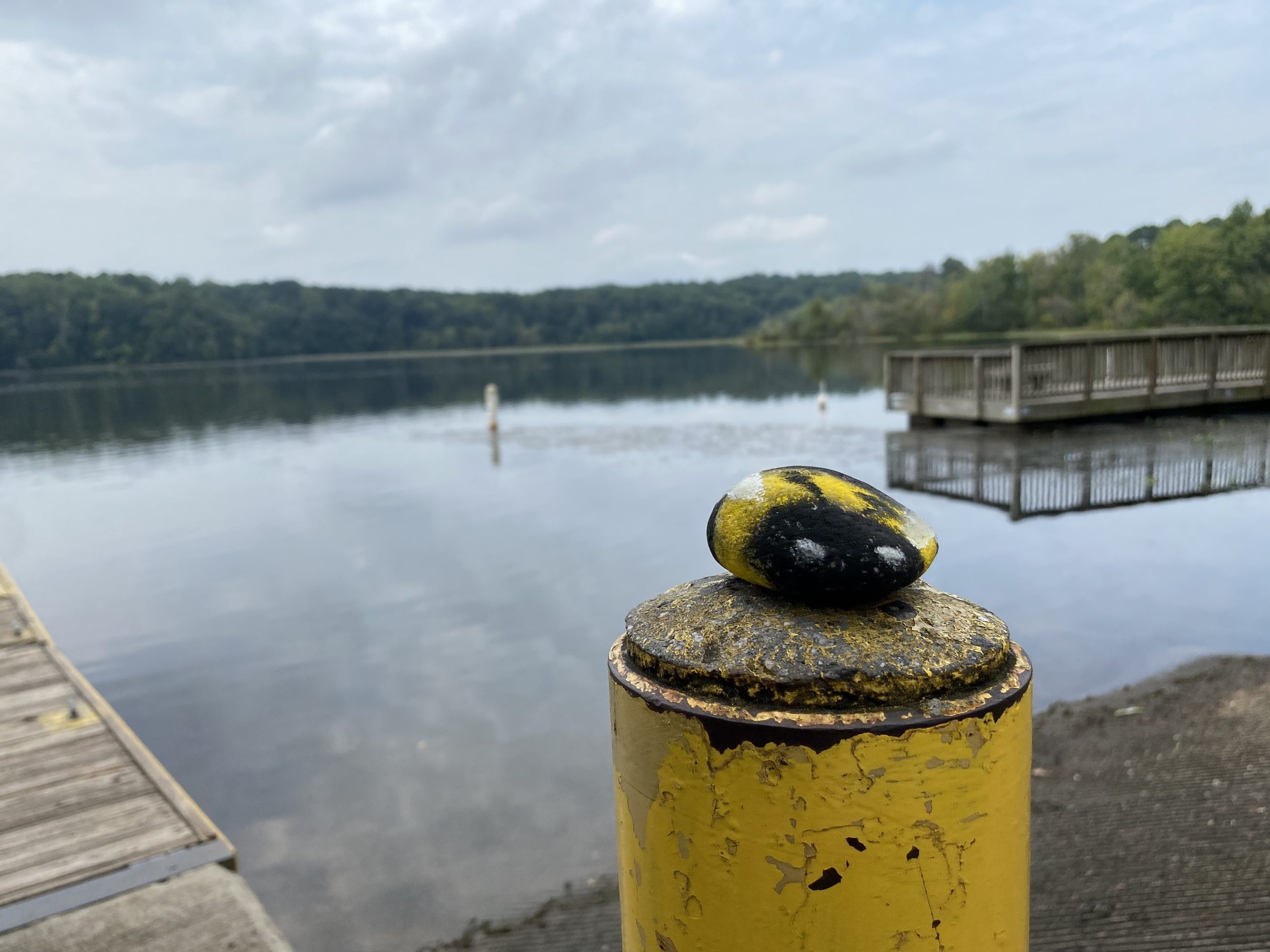 A bee painted on a rock by a lake