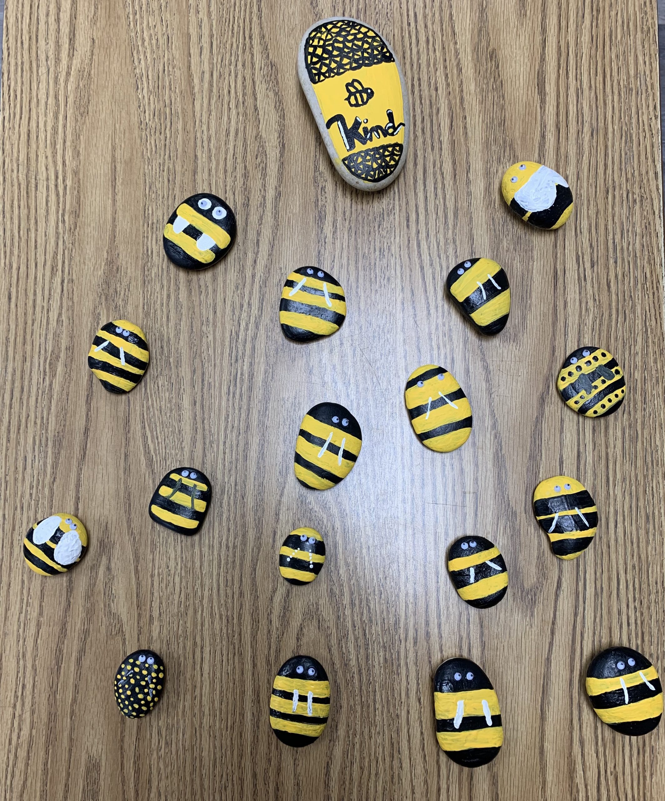 A whole class of bee rocks!