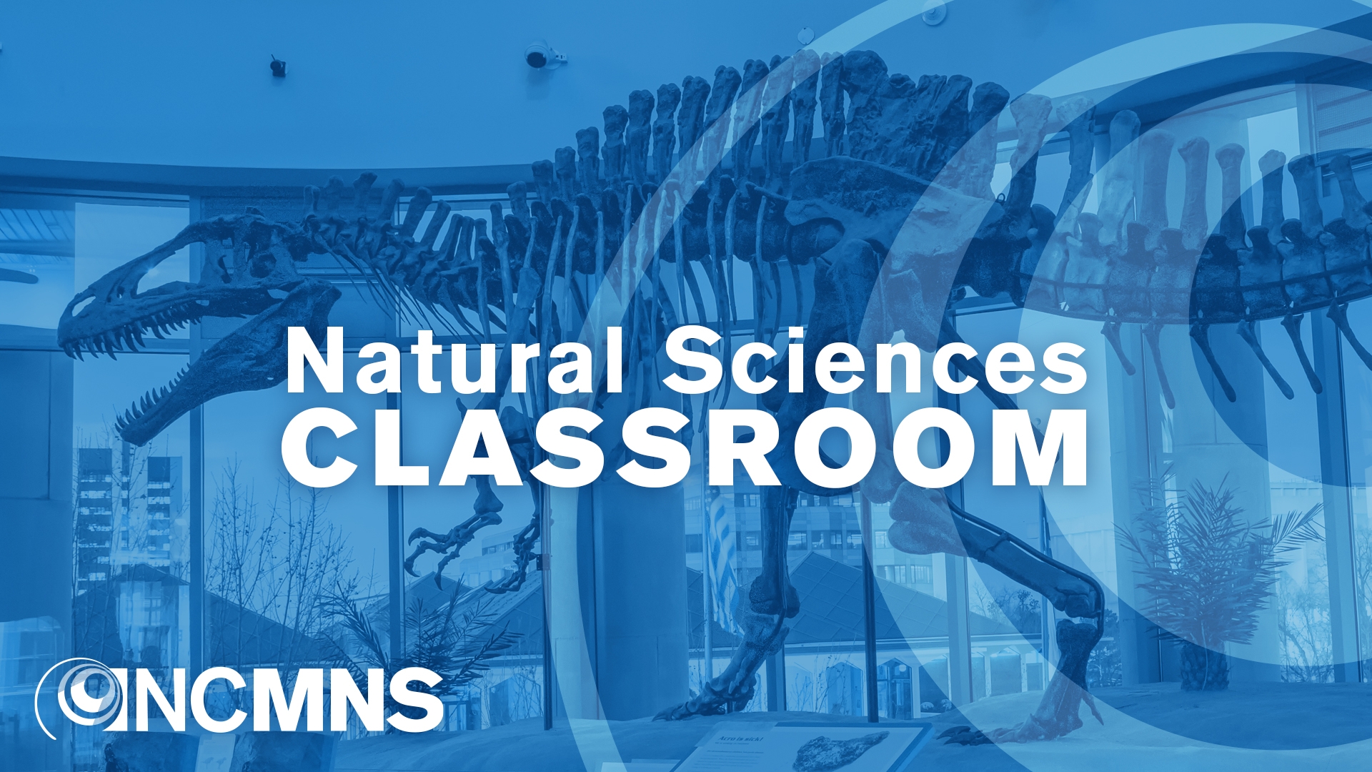 Natural Sciences Classroom blue dino