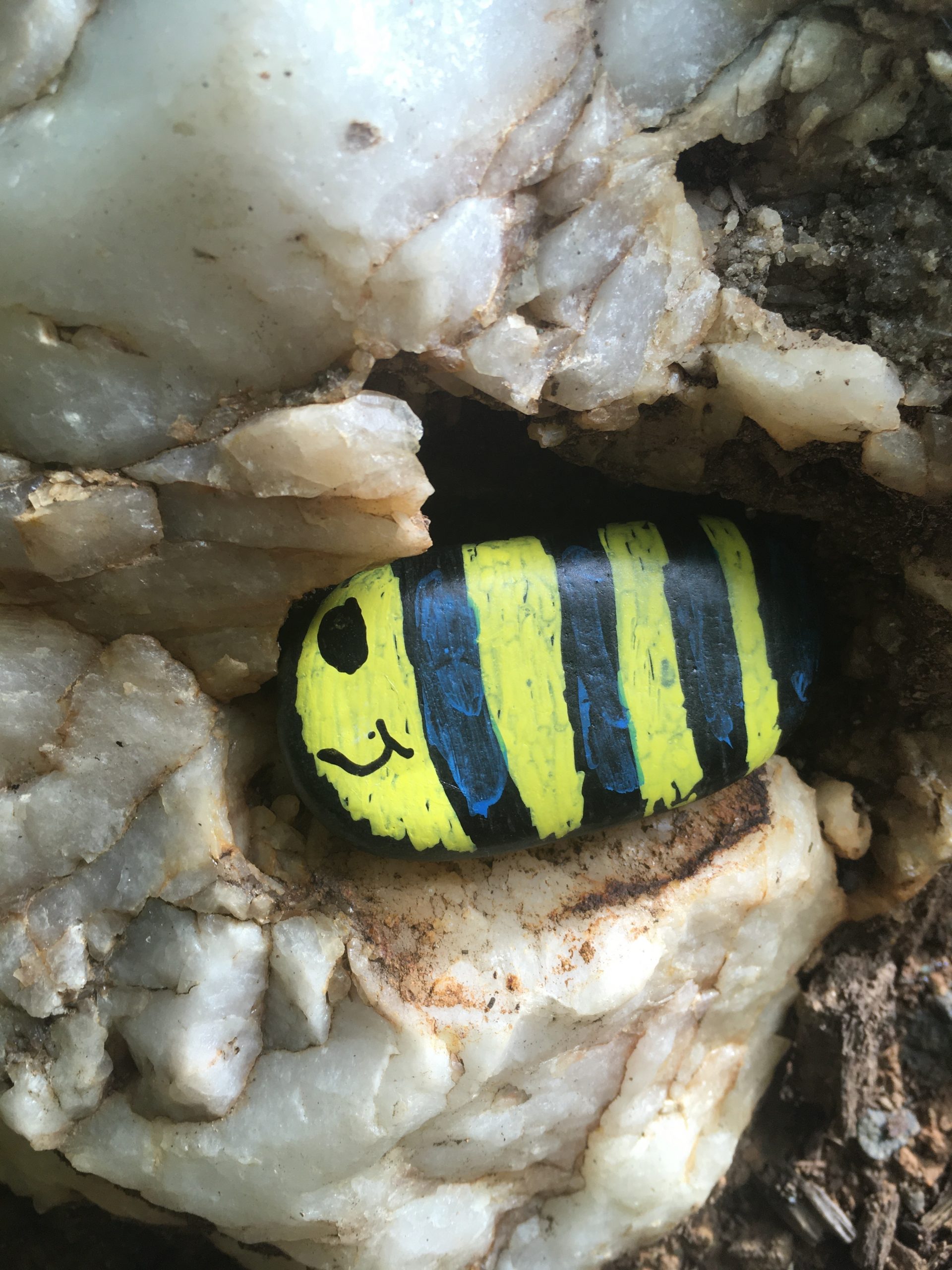 a rock painted like a bee