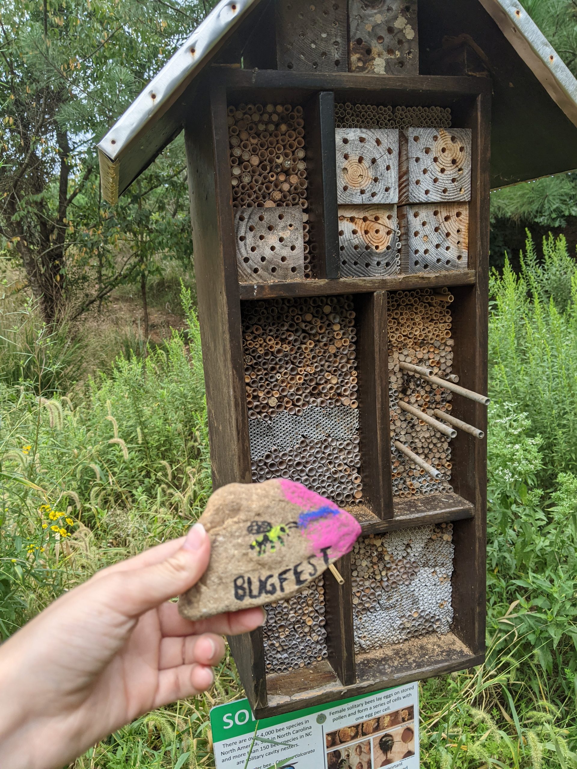 A bee rock in front of a bee hotel