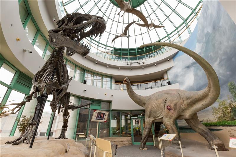 Acrocanthosaurus and Pleurocoelus in the Terror of the South exhibit.