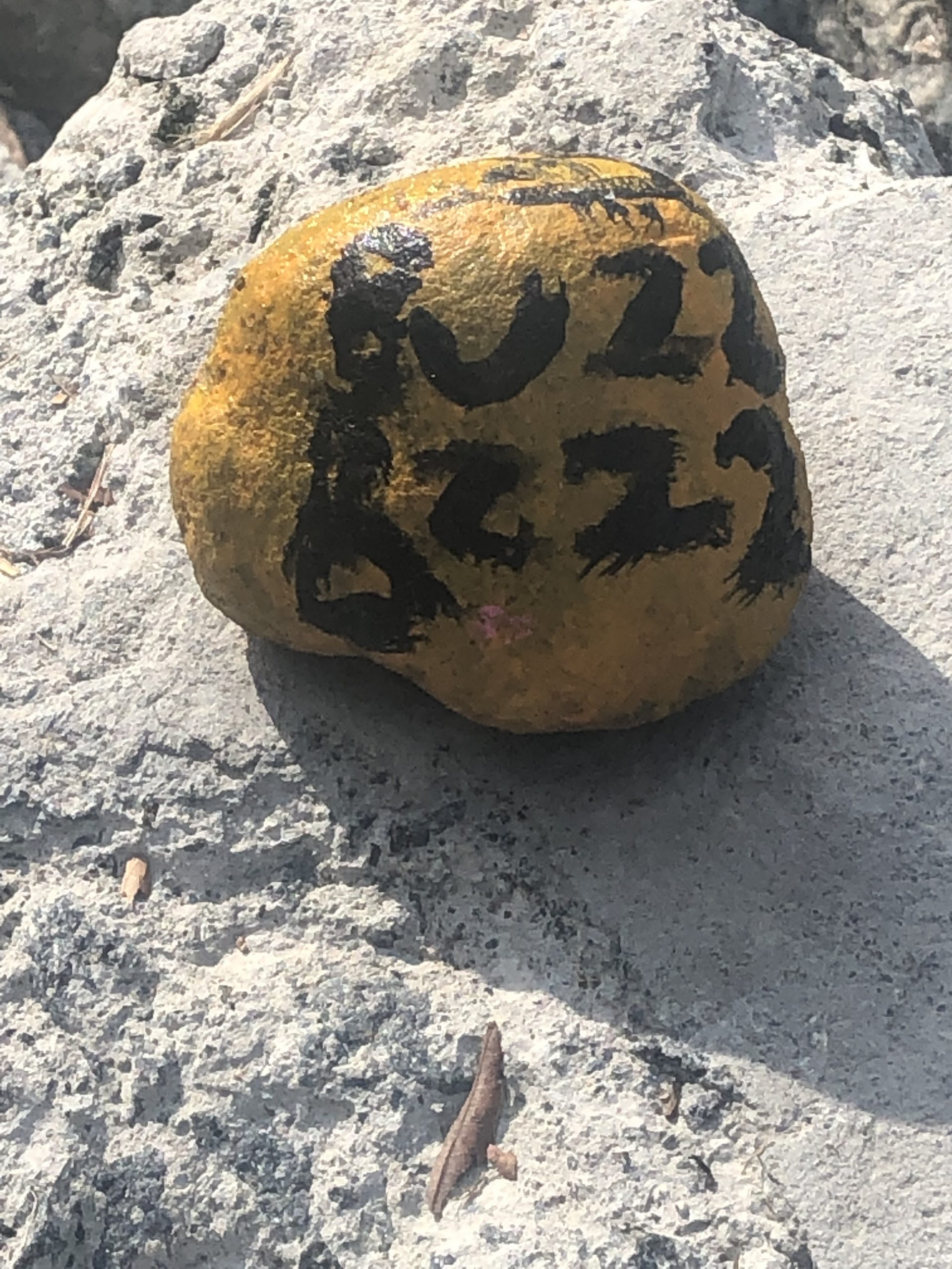 A rock painted yellow that says buzz
