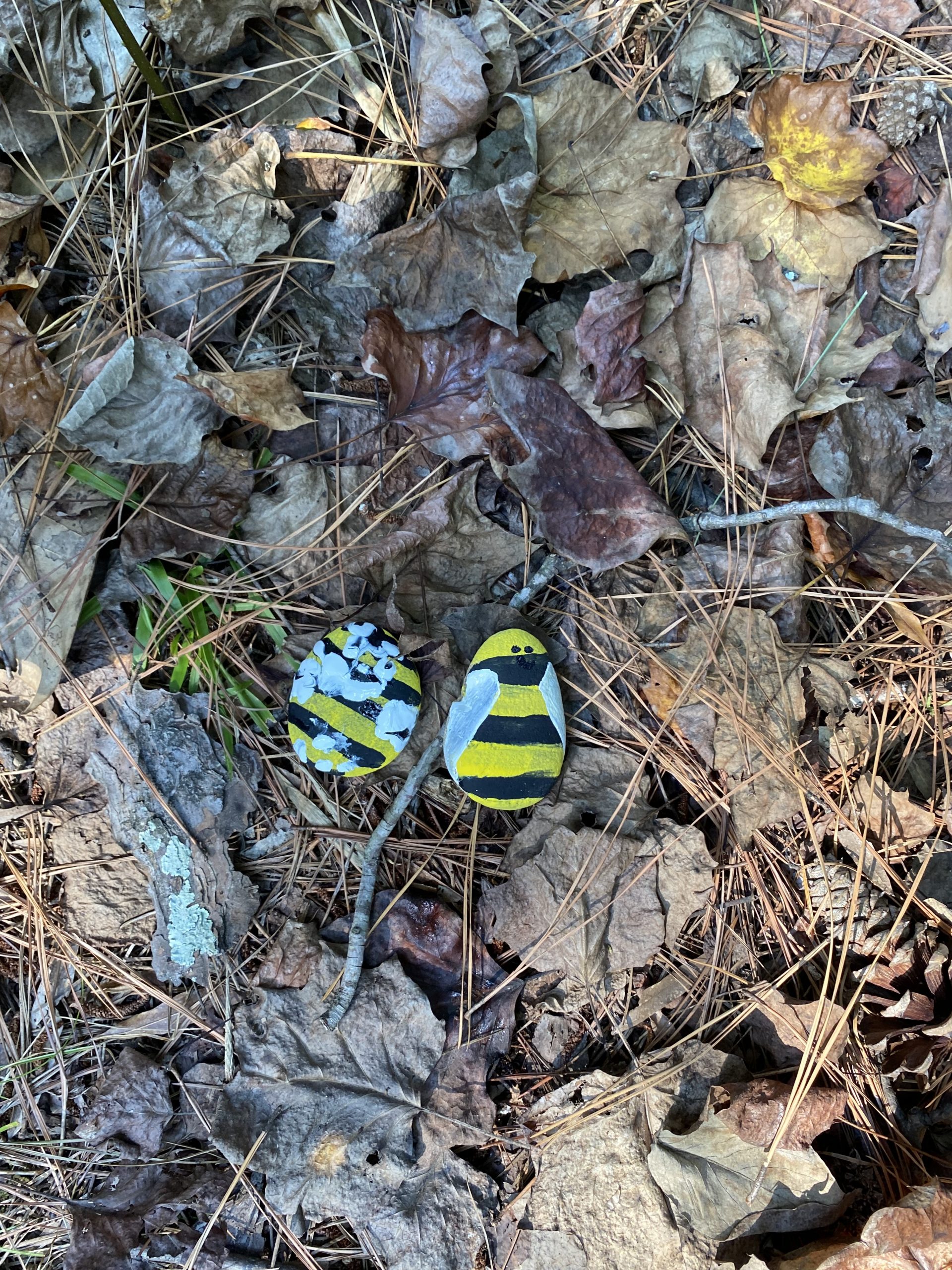 Two rocks painted like bees