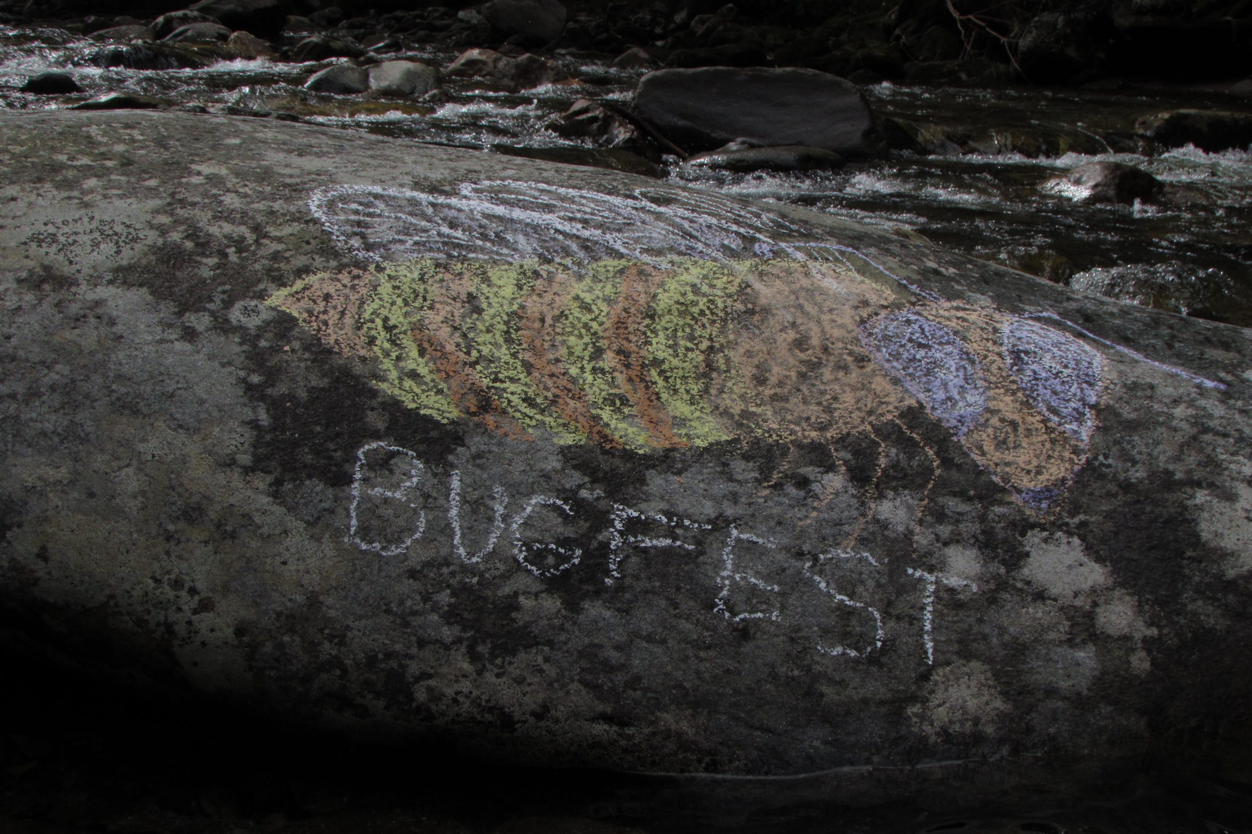 A chalk bee on a rock next to a river
