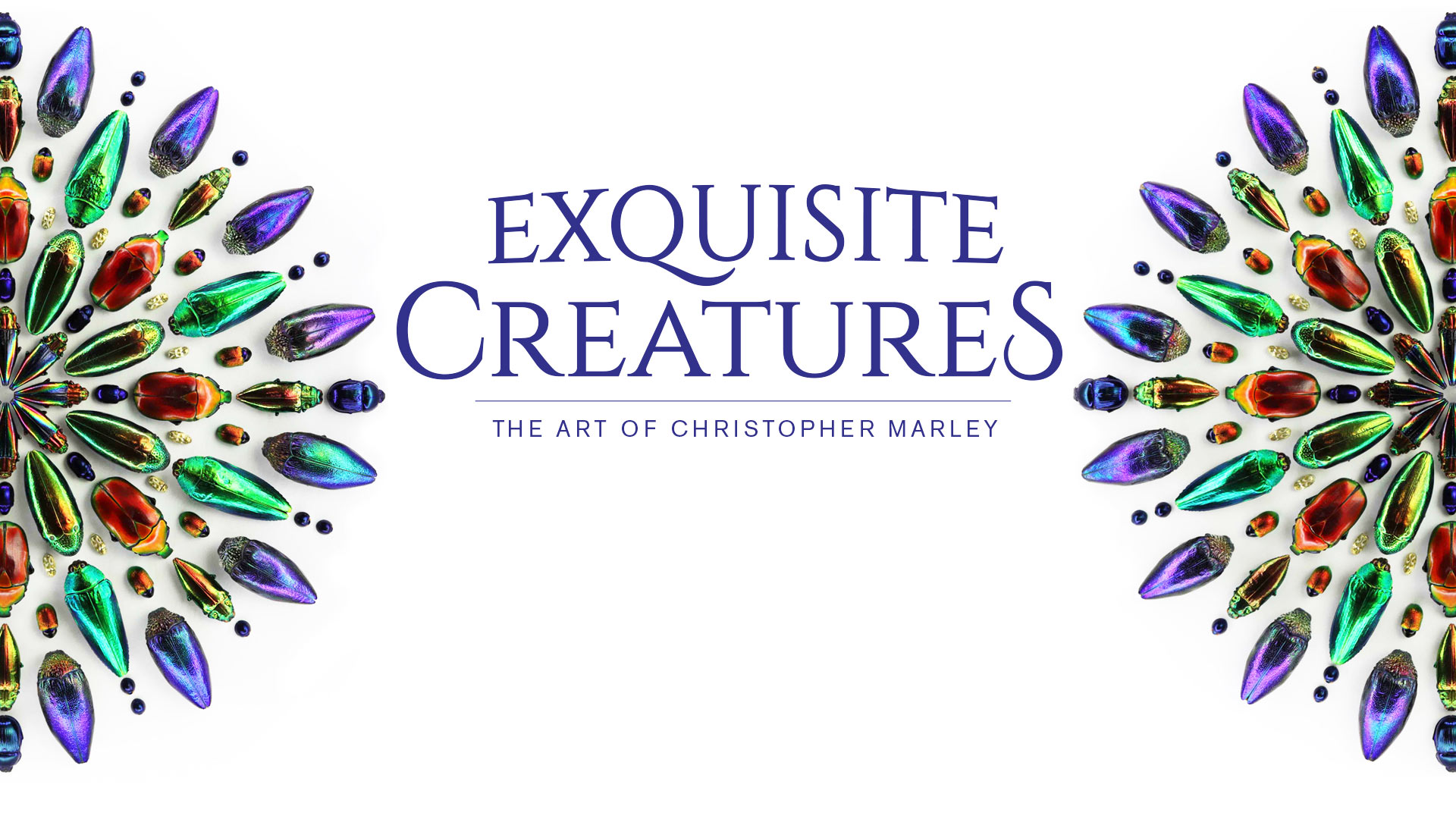 Exquisite Creatures: The Art of Christopher Marley
