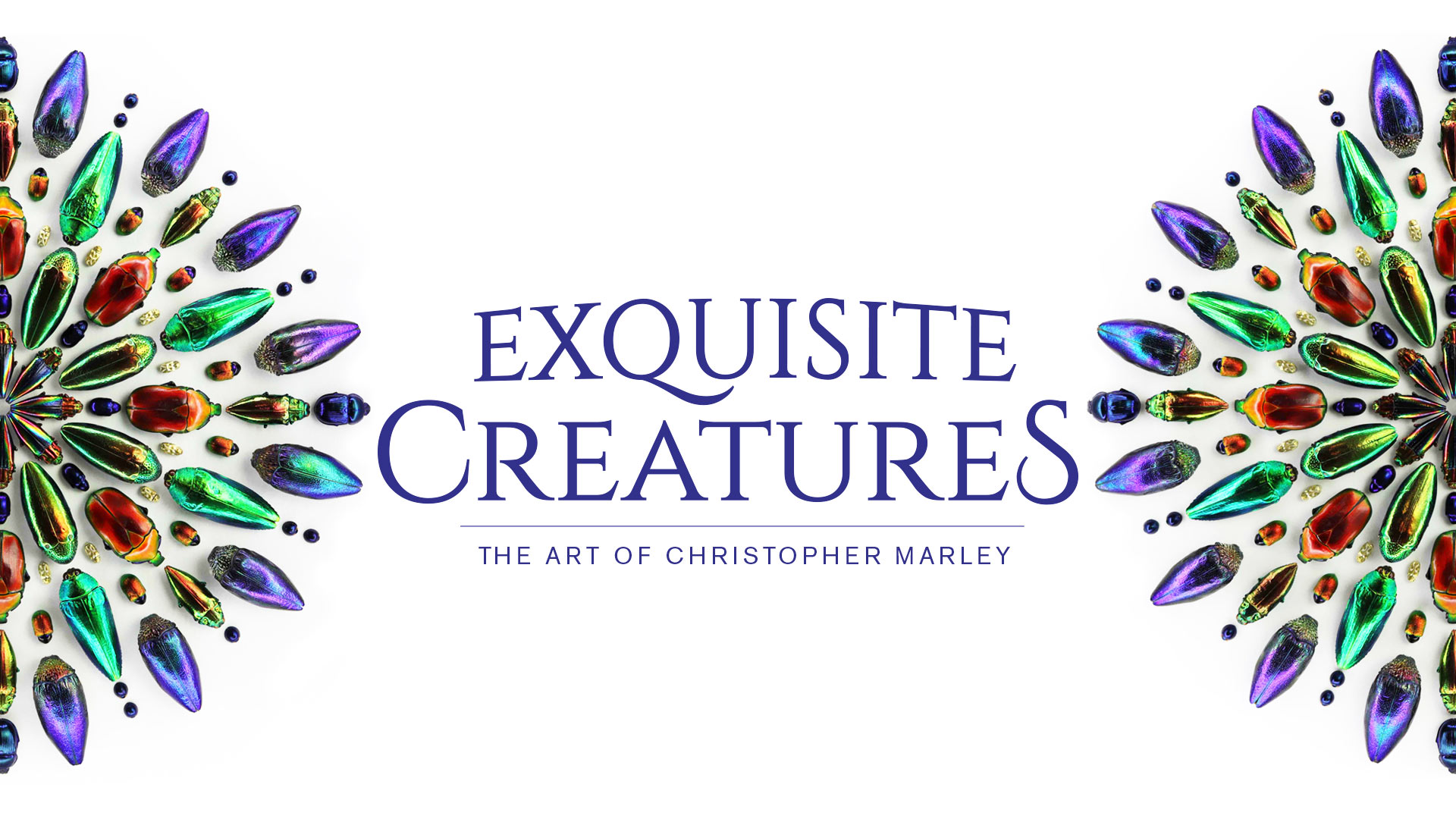 Exquisite Creatures: The Art of Christopher Marley