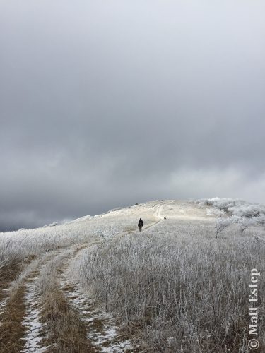 Winter wonderland – Rich Mountain Bald (within the Tater Hill Plant Preserve). Photo: Matt C. Estep.