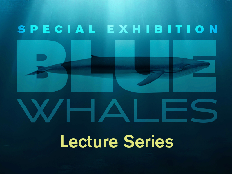 Blue Whales Lecture Series