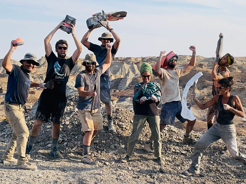 Dino Dig Live