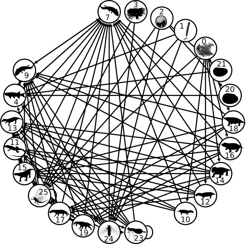 IDAZ metanetwork