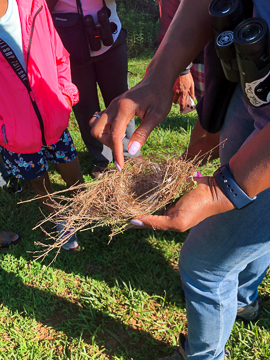 Deja Perkins showing participants a bird nest. Photo: Michael Lewis/NCMNS.