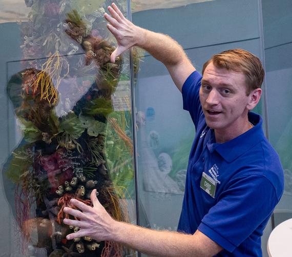Tour Guide Chris, a white male in his mid-30s with a thin build with blonde hair and wearing a blue polo shirt and nametag, looks toward the camera while gesturing towards an exhibit. The exhibit displays the corals, sponges, barnacles, and underwater plants that live and grow on the coast.