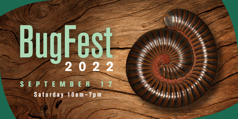 BugFest 2022: Saturday, September 17, 10am-7pm