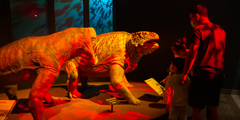 Member family enjoying the Life Before Dinosaurs exhibition.
