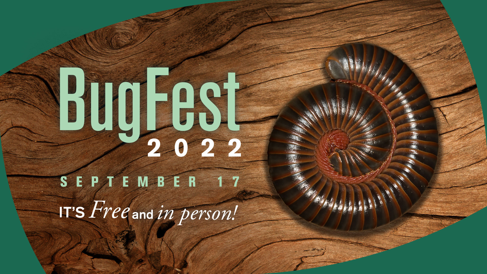 Ncmns Bugfest 2024 Calendar Elise Helenka