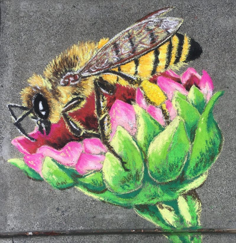 Bee on pink flower drawn in chalk on sidewalk.