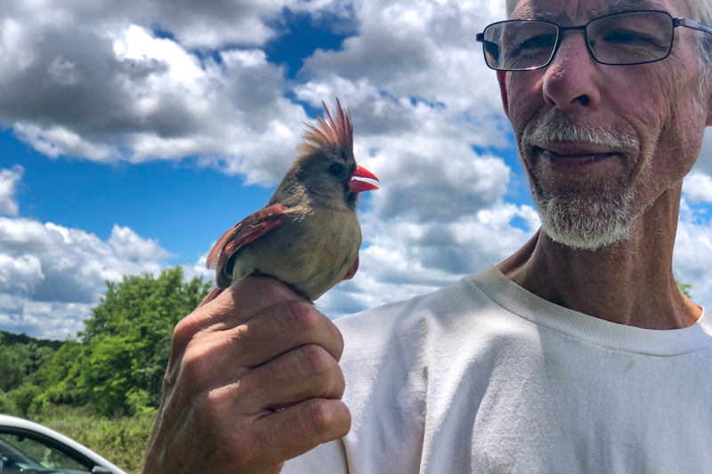 Gerwin holds the North Carolina state bird, a female Northern Cardinal. As nonmigratory birds, they are a regular sight throughout our state. Photo: Cameron Stuart.
