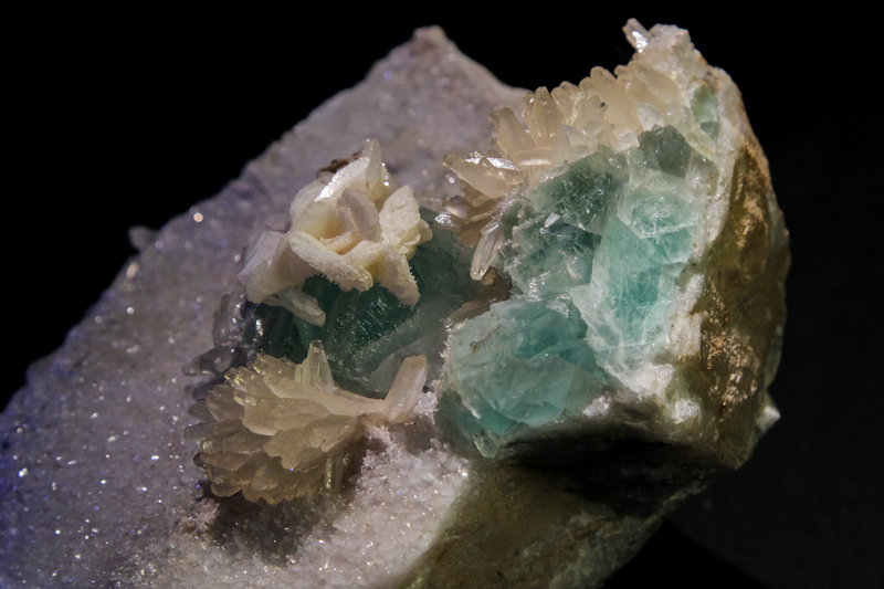 White calcite crystals, a platy white calcite rose and green fluorite on drusy quartz. From the Hamme Tungsten Mine. Photo: Chris Tacker/NCMNS.