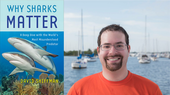Graphic with book cover for "Why Sharks Matter: A Deep Dive with the World's Most Misunderstood Predator" and a headshot of David Shiffman, a white male with short dark hair and short facial hair
