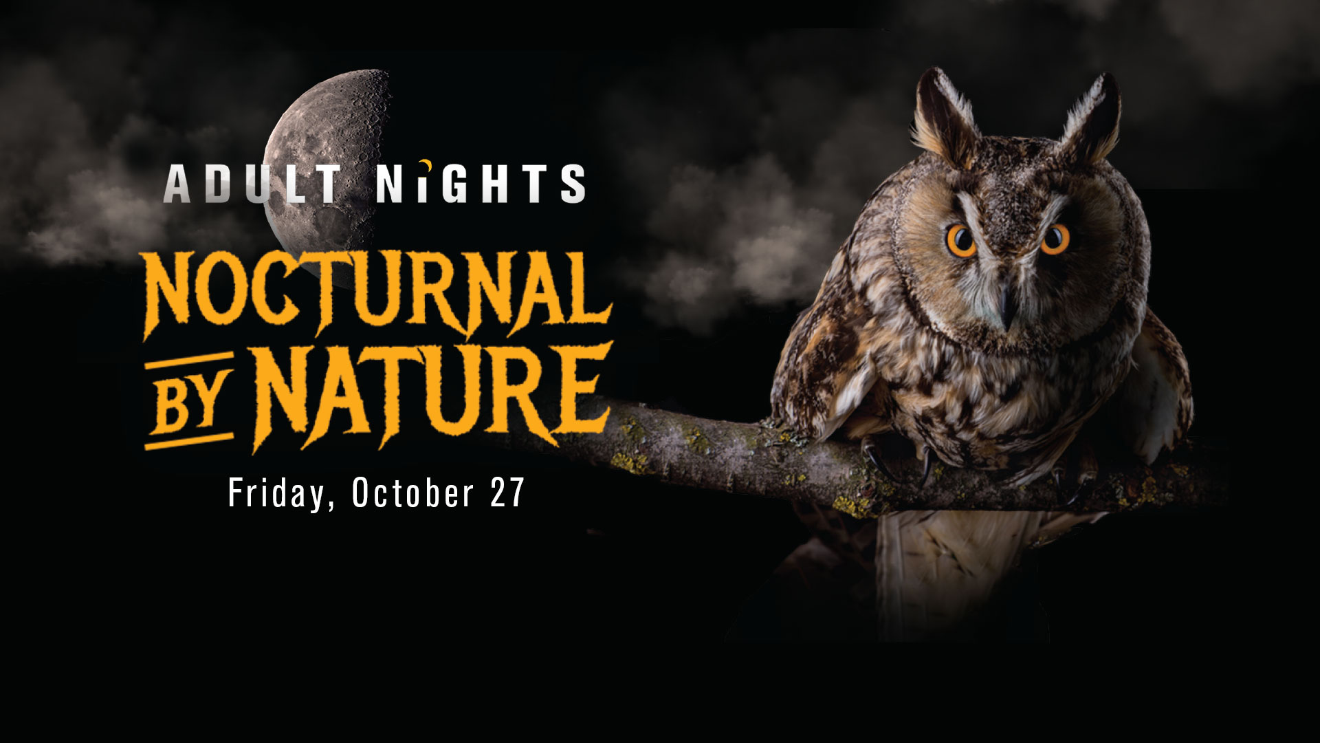 Adult Nights: Nocturnal By Nature