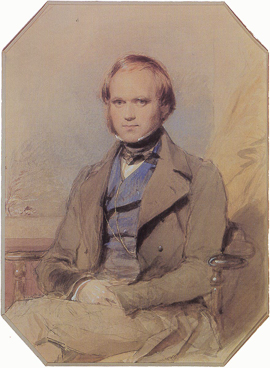 A Young Charles Darwin