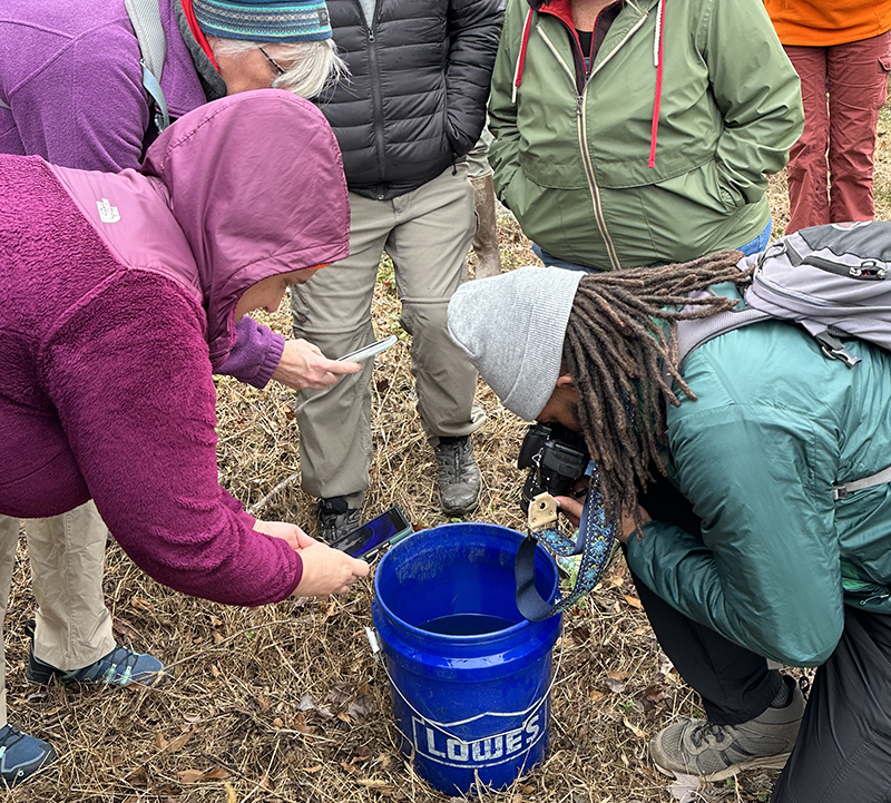 Group of people surrounding a bucket with cameras and phones - there's a waterdog in the bucket that is not pictured.