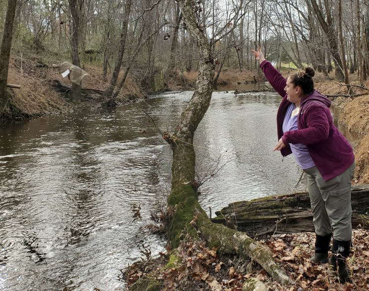 Woman tossing minnow trap into river.