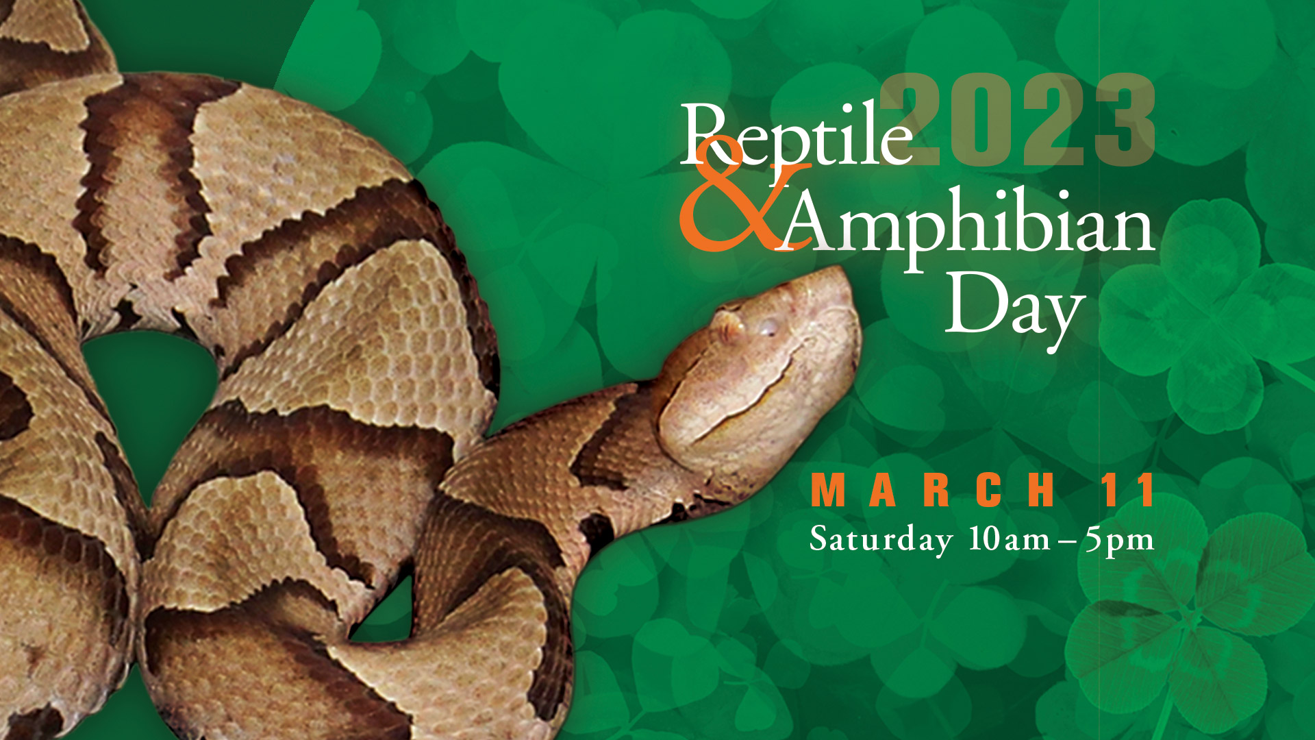Reptile and Amphibian Day, March 11