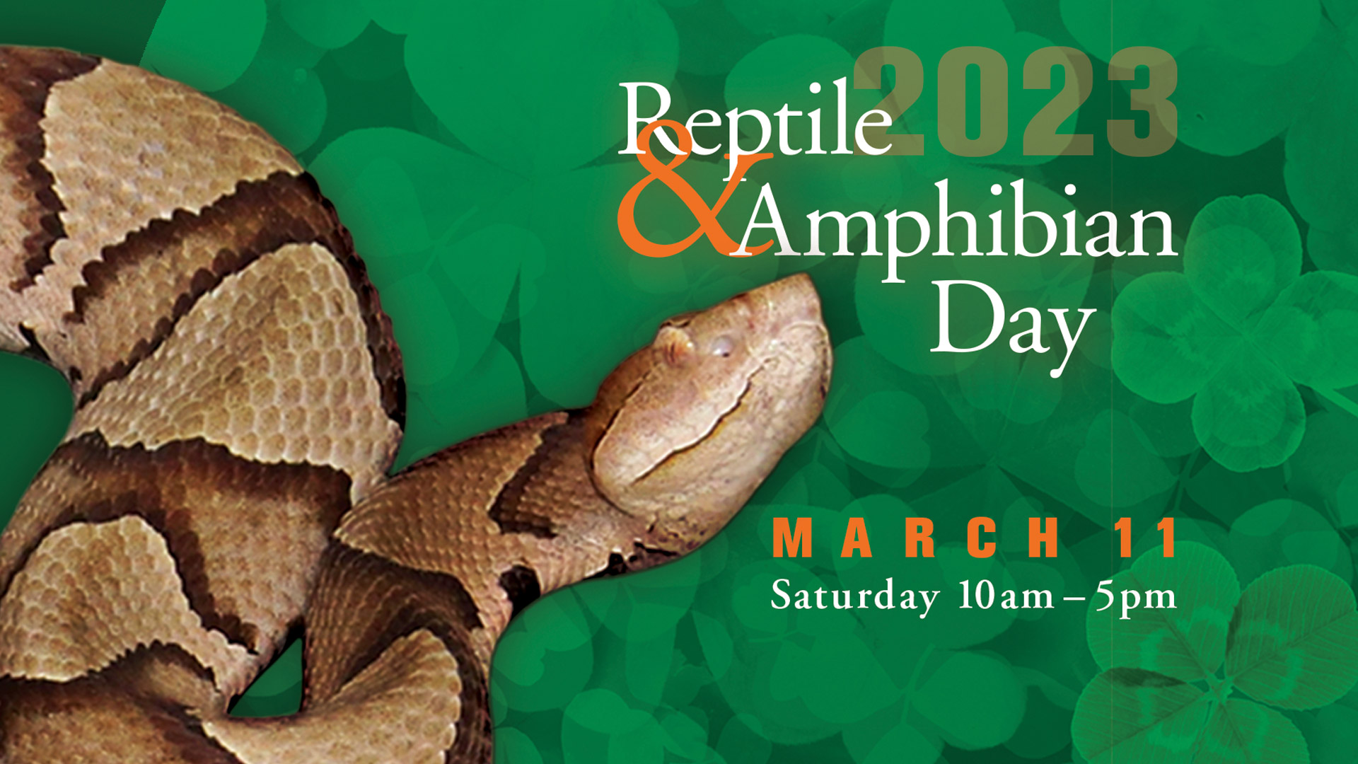 Reptile and Amphibian Day, March 11