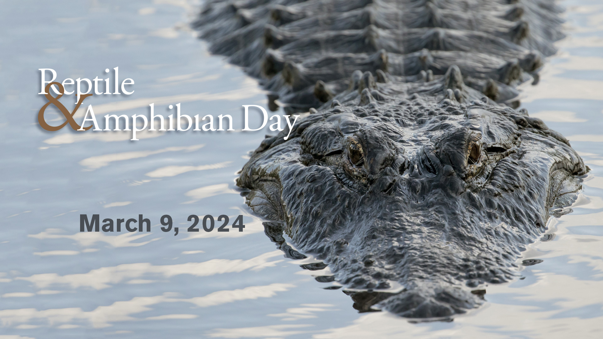 Reptile and Amphibian Day, March 09