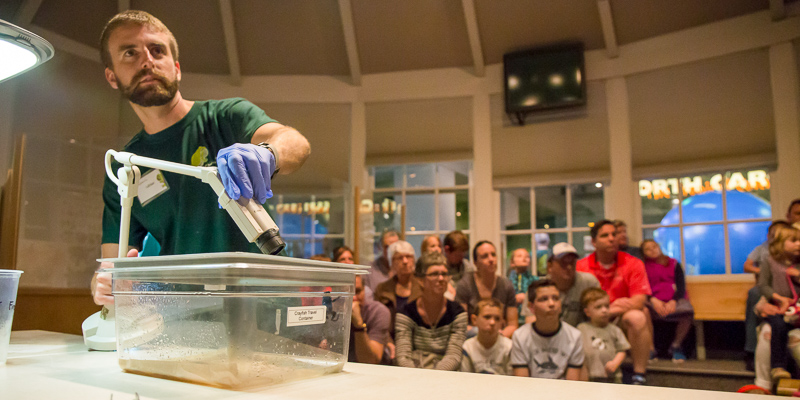 A while male with short hair and facial hair aims a camera into a clear lucite box with frogs inside. He is presenting to a small crowd of guests. Museum Educator Adrian Yirka presenting on frogs in Windows on the World. Photo: Matt Zeher/NCMNS