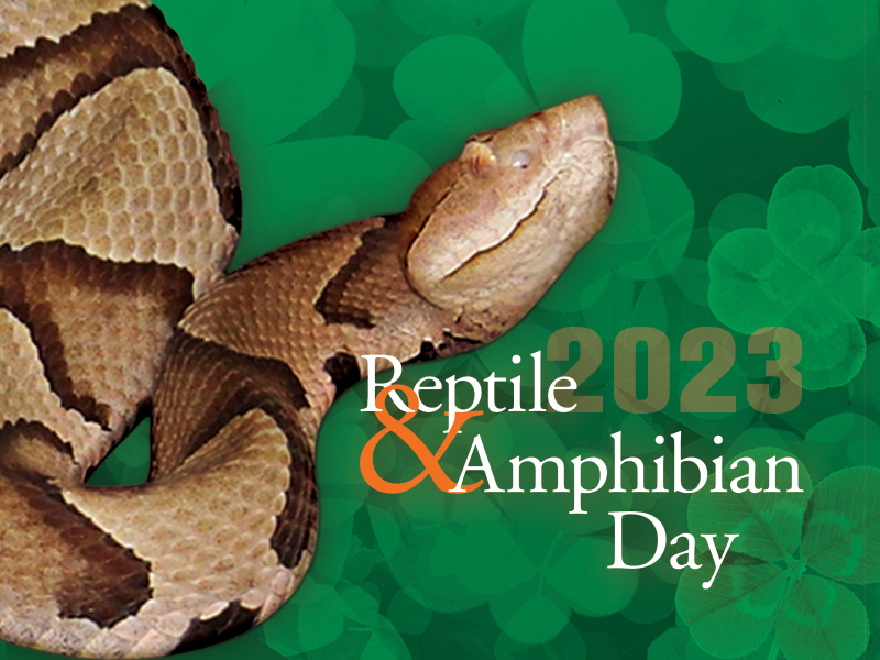 Reptile & Amphibian Day 2023