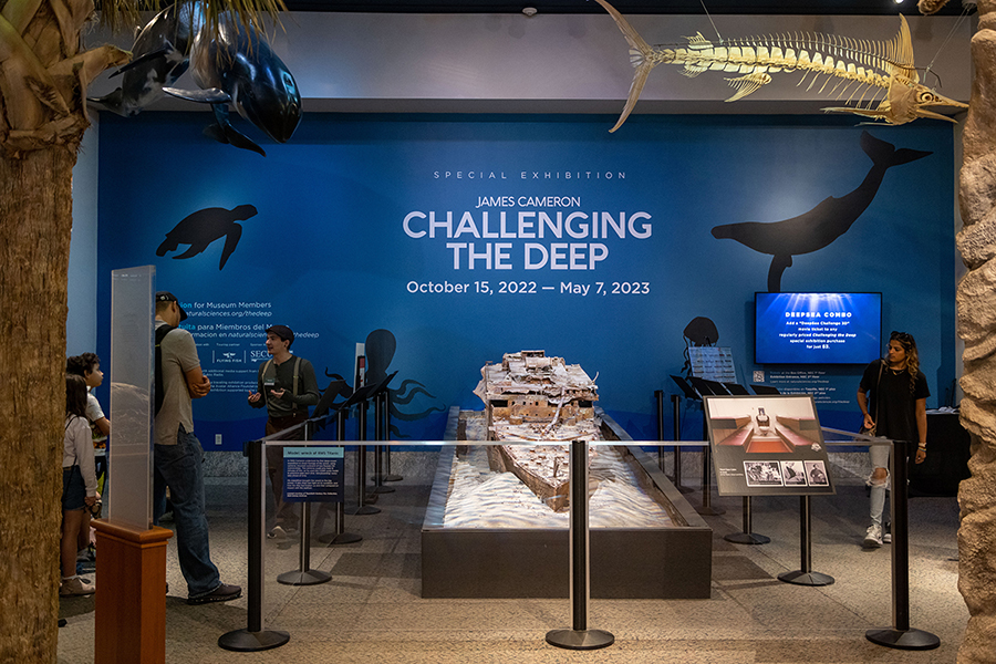 NC Museum of Natural Sciences hosts Titanic exhibition with a