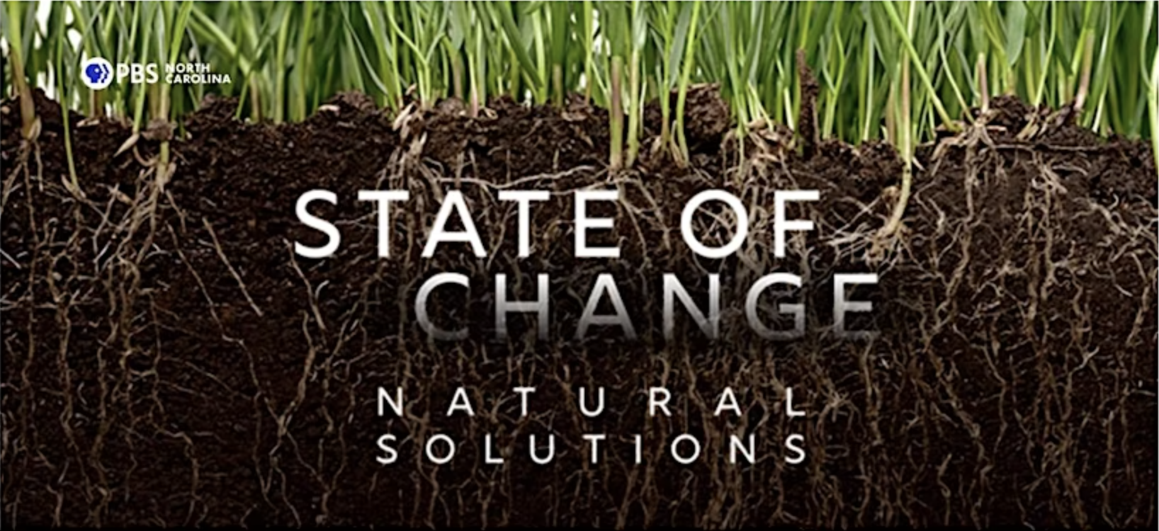 Graphic of grass with roots showing in a cross section of soil with the text "State of Change Natural Solutions" overlaid.