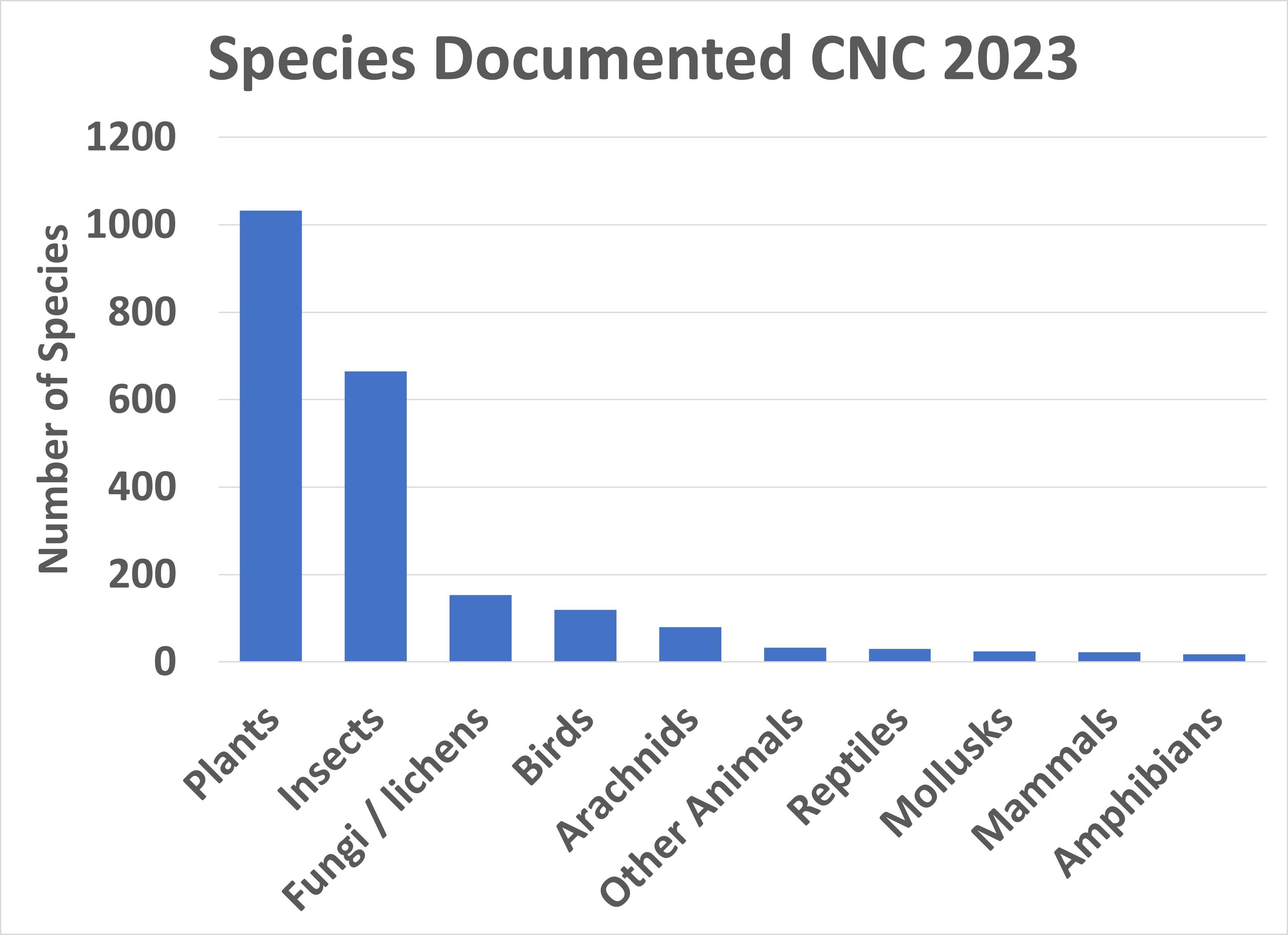 Graph of the number of species reported for each major taxon