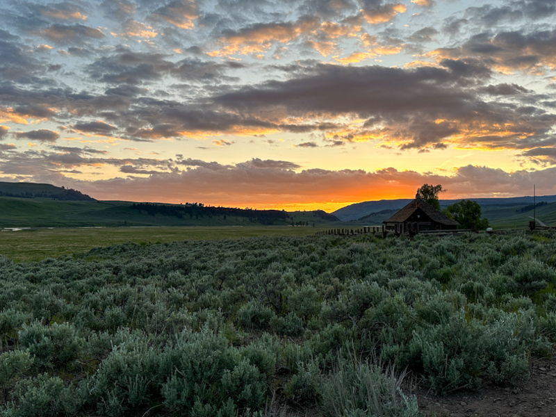 Sagebrush, meadows and hills at sunset in Lamar Valley.