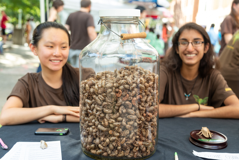 BugFest volunteers 2015