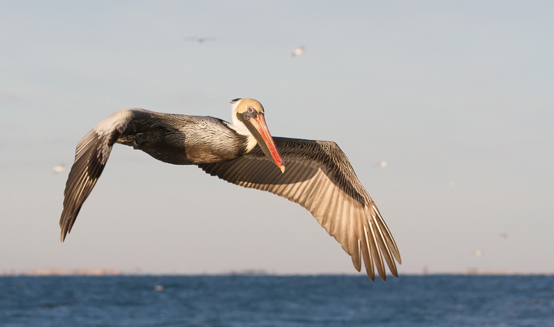 Educator Trek: Outer Banks Adventure Programs and Events Calendar